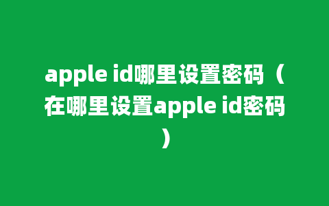 apple id哪里设置密码（在哪里设置apple id密码）