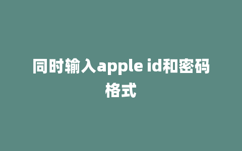 同时输入apple id和密码格式