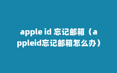 apple id 忘记邮箱（appleid忘记邮箱怎么办）