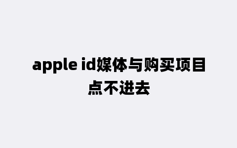 apple id媒体与购买项目点不进去