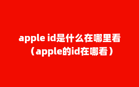 apple id是什么在哪里看（apple的id在哪看）