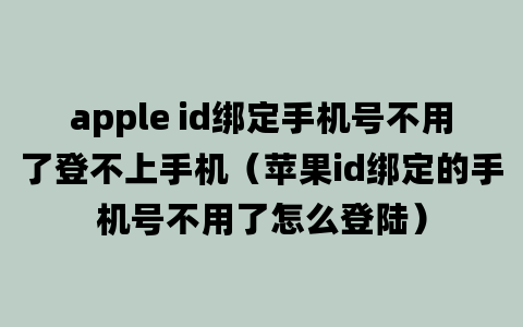 apple id绑定手机号不用了登不上手机（苹果id绑定的手机号不用了怎么登陆）