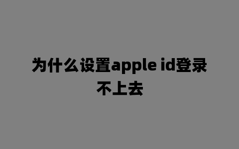 为什么设置apple id登录不上去