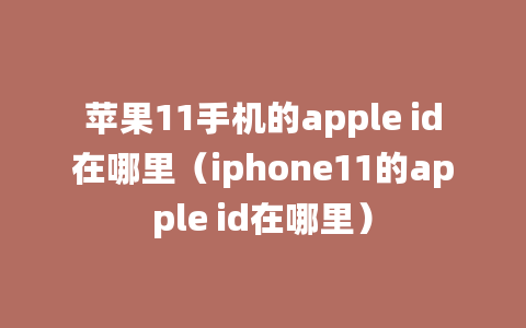 苹果11手机的apple id在哪里（iphone11的apple id在哪里）