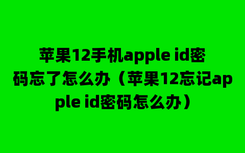 苹果12手机apple id密码忘了怎么办（苹果12忘记apple id密码怎么办）