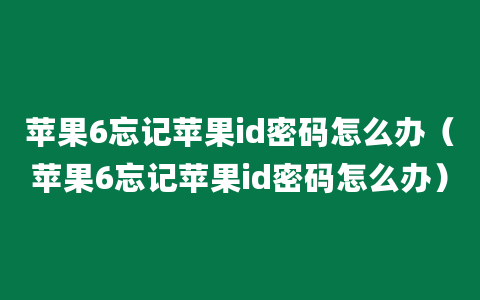 苹果6忘记苹果id密码怎么办（苹果6忘记苹果id密码怎么办）