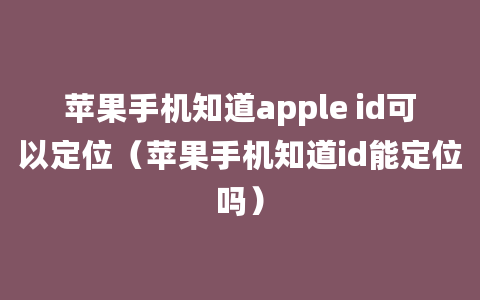 苹果手机知道apple id可以定位（苹果手机知道id能定位吗）